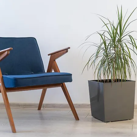 Platinum شتشيتسين